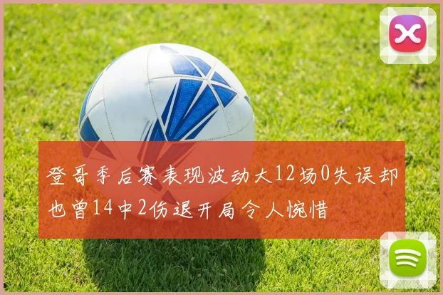 登哥季后赛表现波动大12场0失误却也曾14中2伤退开局令人惋惜